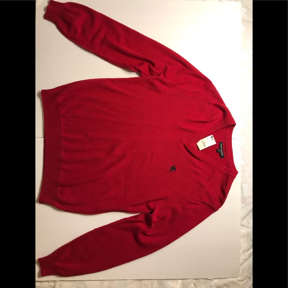 EXPRESS DESIGN STUDIO V Neck sweater